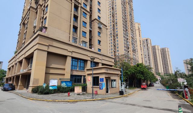 揭秘唐家沱，最新探索之旅，惊艳绝伦的秘境之旅！