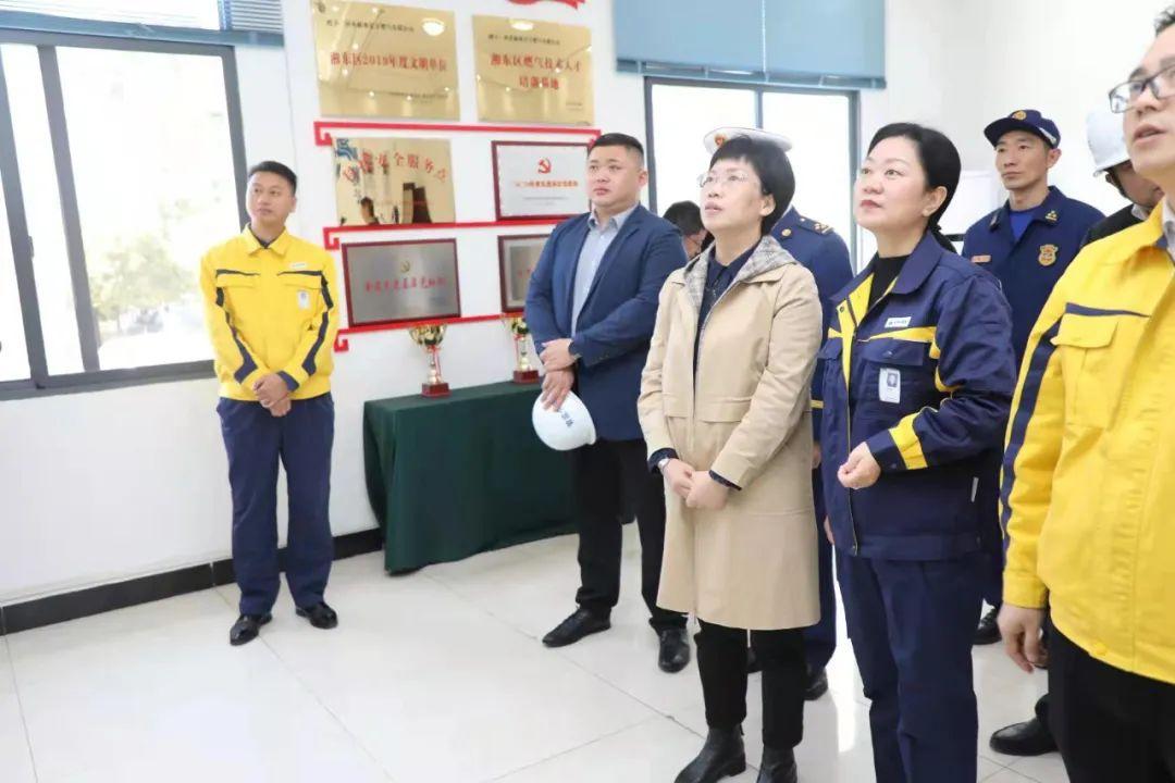 新奥天天正版资料大全,实地观察解释定义_智能版4.276