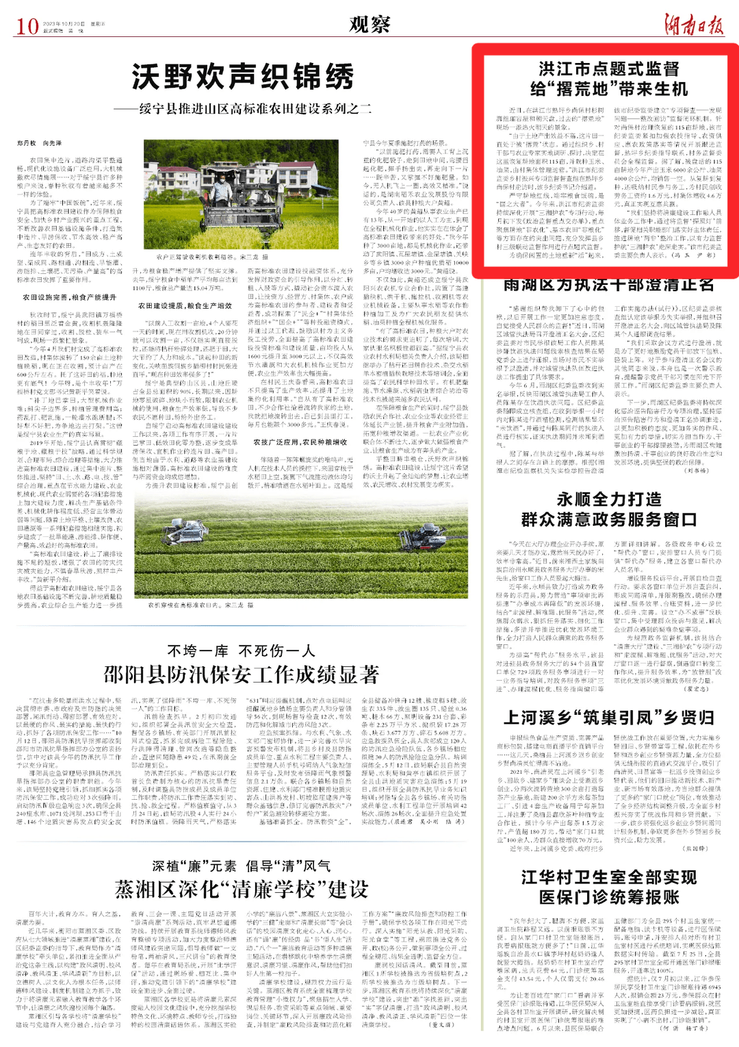探索现代社会的数字化转型之路，大道洪炉最新进展