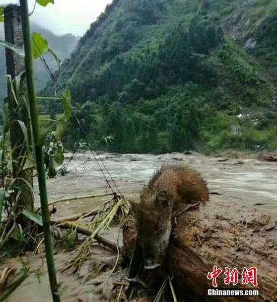 Yezhulu最新地，探索前沿话题的三大要点揭秘