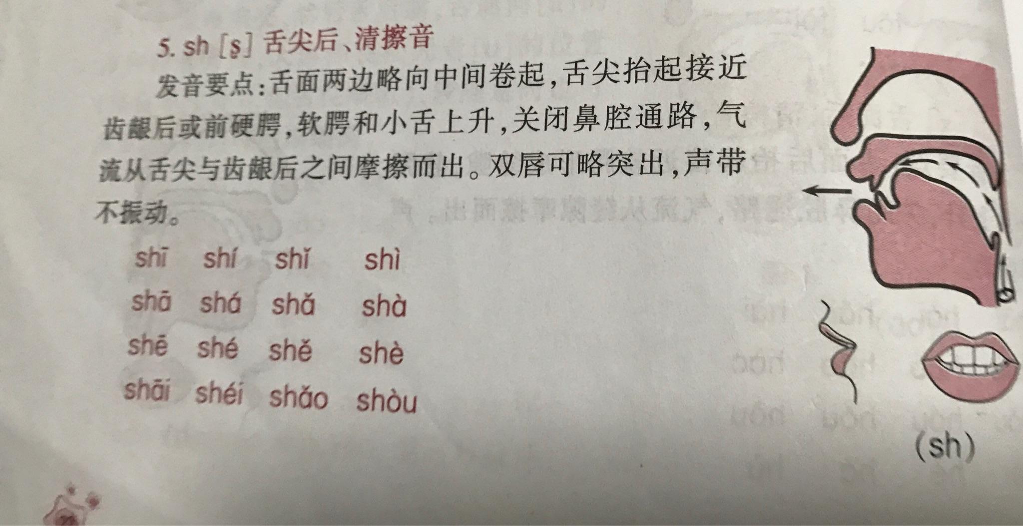 最新翘舌音，舌尖上的温情冒险之旅